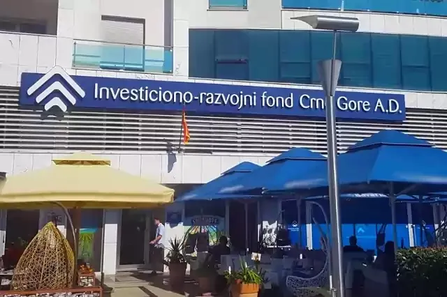Danilo Petrović ne vraća milionske kredite IRF-u