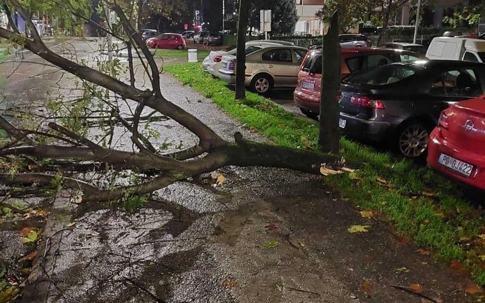NEVRIJEME: Vjetar lomio stabla u Podgorici i na Cetinju