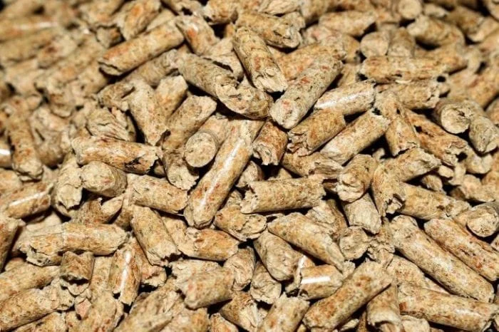 Nemilosrdna eksploatacija šume: Fabrike peleta i pilane niču kao pečurke