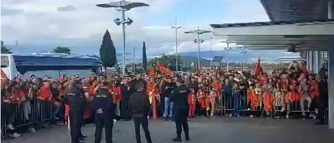 Lavice stigle u Podgoricu: Pogledajte doček na aerodromu