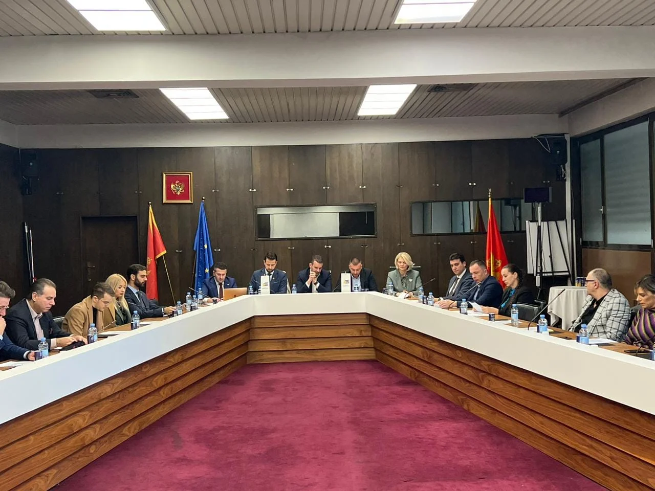 GO Evrope sad: Bićemo ključni faktor izgradnje demokratskih institucija u Crnoj Gori