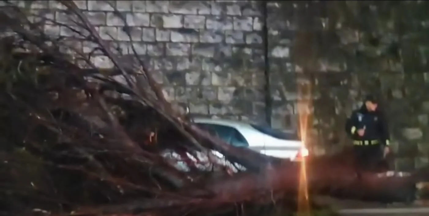 Bar- Podgorica: Palo drvo na vozilo u pokretu