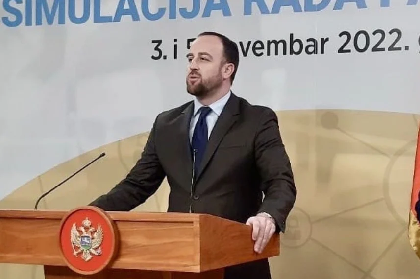 Nikolić: Državni organi prijete dijaspori, podnijećemo krivične prijave ukoliko se histerija ne zaustavi
