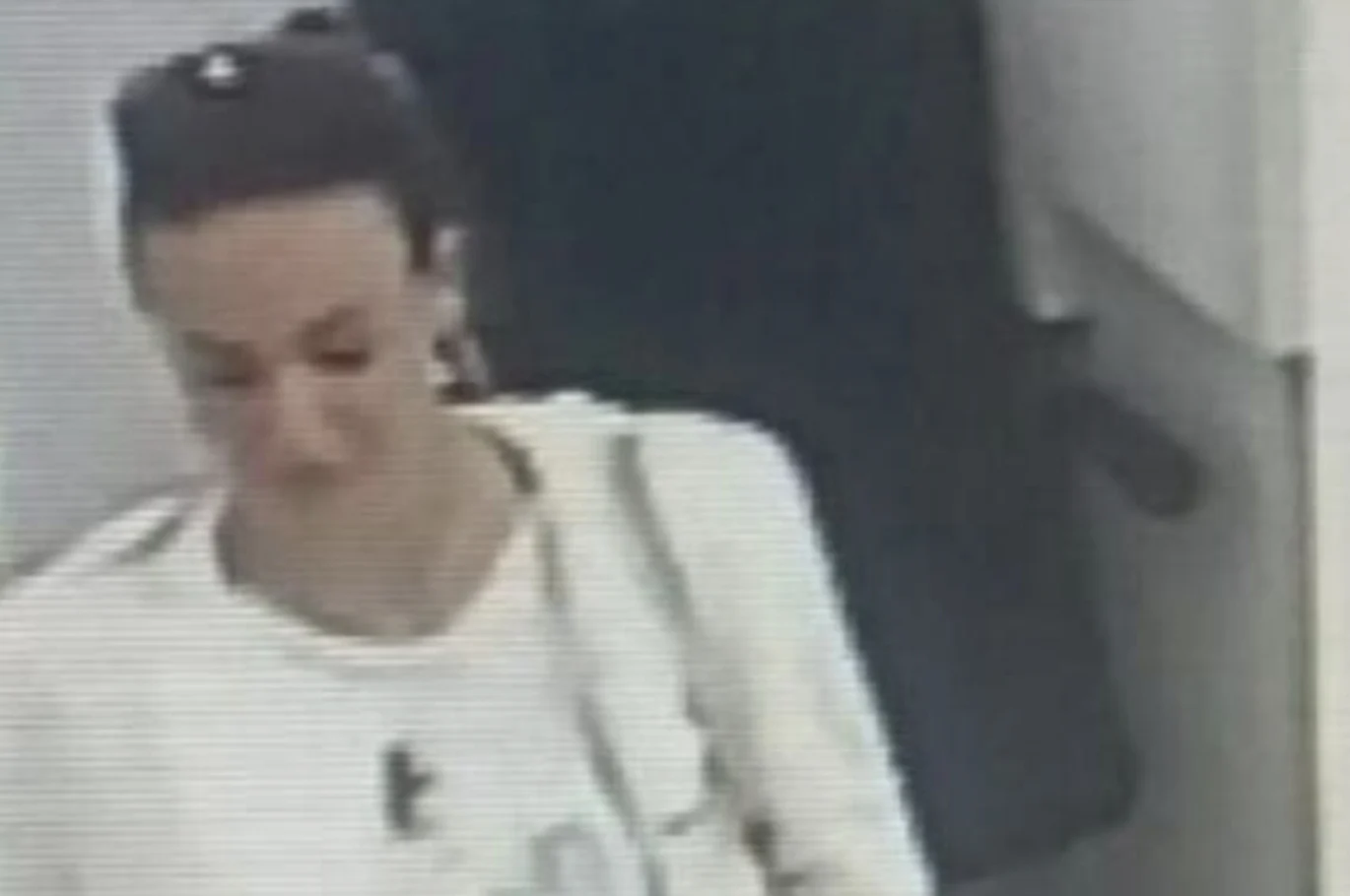 Falsifikovala dokumenta pa podigla 1,3 miliona eura - policija traga za osobom sa fotografije