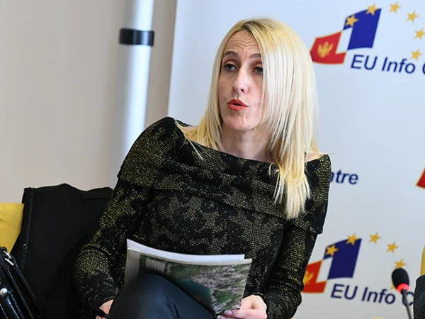 Mrdović: Daleko smo od političke stabilnosti