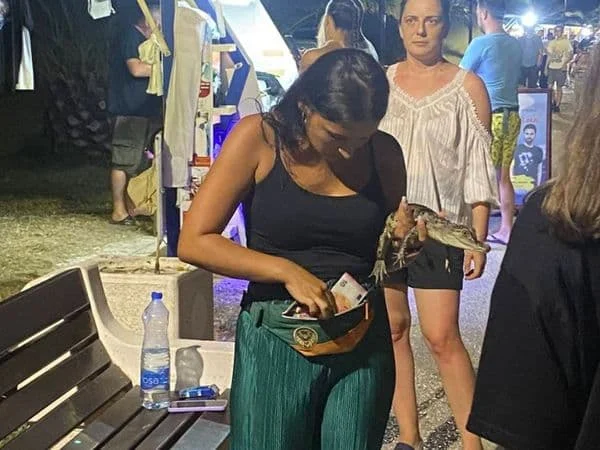 CZIP: Inspektor pustio NN lice da se udalji sa krokodilom, odgovor UIP-a skandalozan