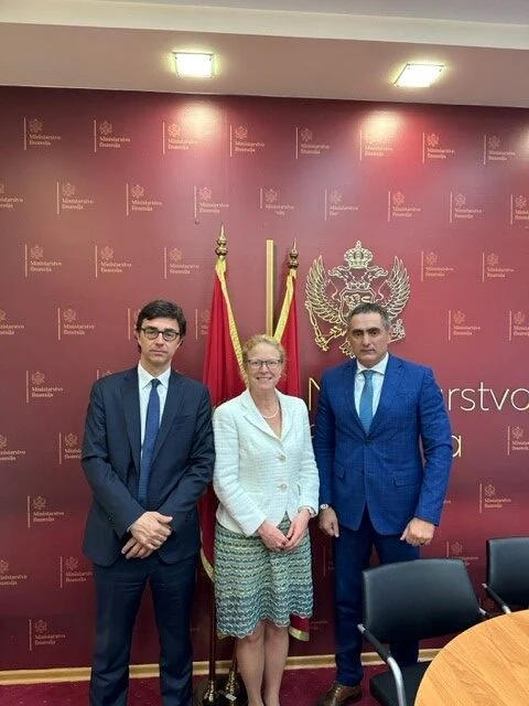 Damjanović sa MMF-om: Nesmetano se servisiraju sve obaveze