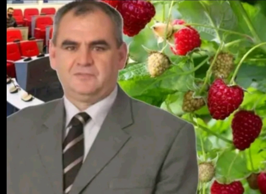 Porodica Vreva ubira plodove i plasira na tržište organske proizvode