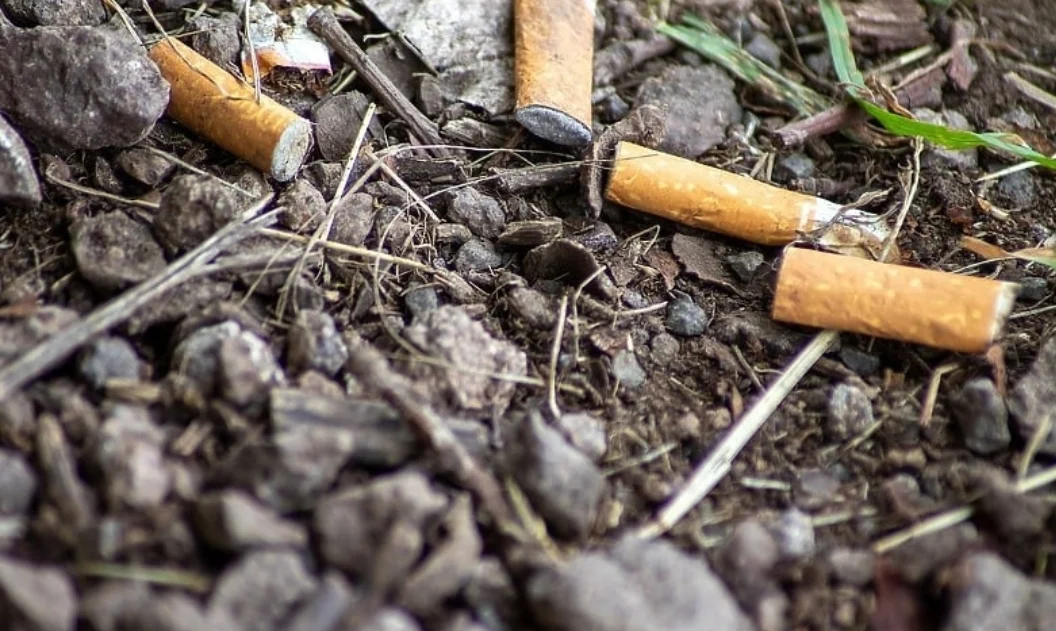 Naučnici od otpada cigareta proizveli biodizel