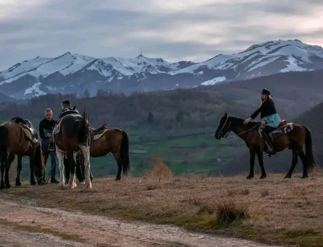 IZ UGOSTITELJSTVA U "BERANE HORSE RIDING": BIZNIS, ZADOVOLJSTVO I ATRAKCIJA 