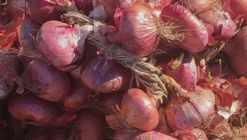 Paprene cijene na pijaci: Kilogram crmničkog luka četiri eura