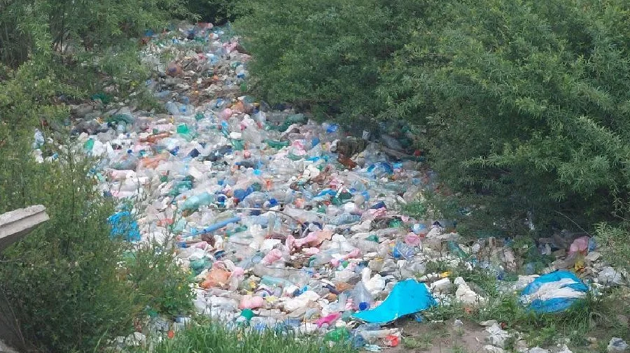 Sjever zatrpan divljim deponijama, Beranac u SAD platio drakonsku kaznu zbog jelke