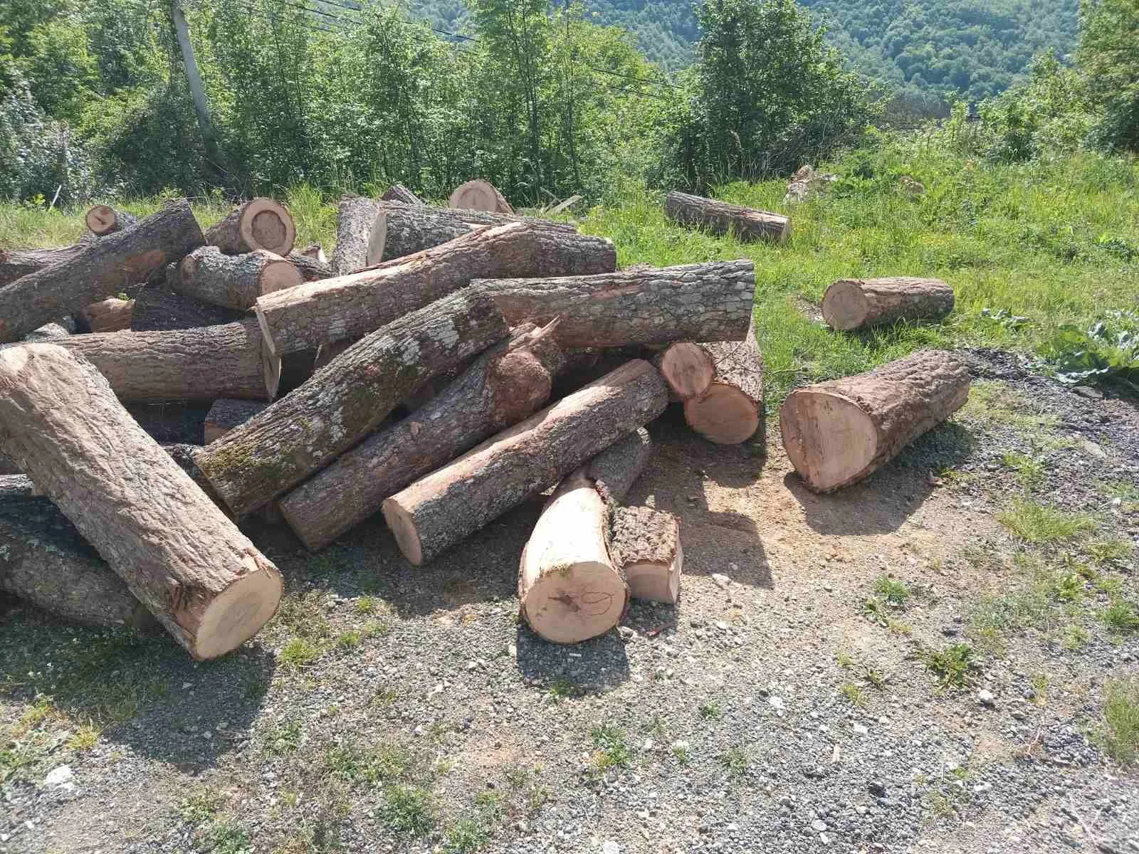 Uprava podnijela više prijava i procesuirala više lica zbog šumskih krađa
