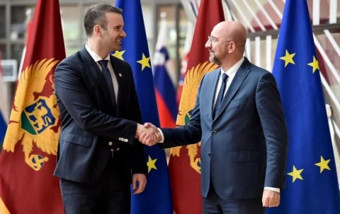 Mišel: Ključno pravovremeno usvajanje IBAR zakona