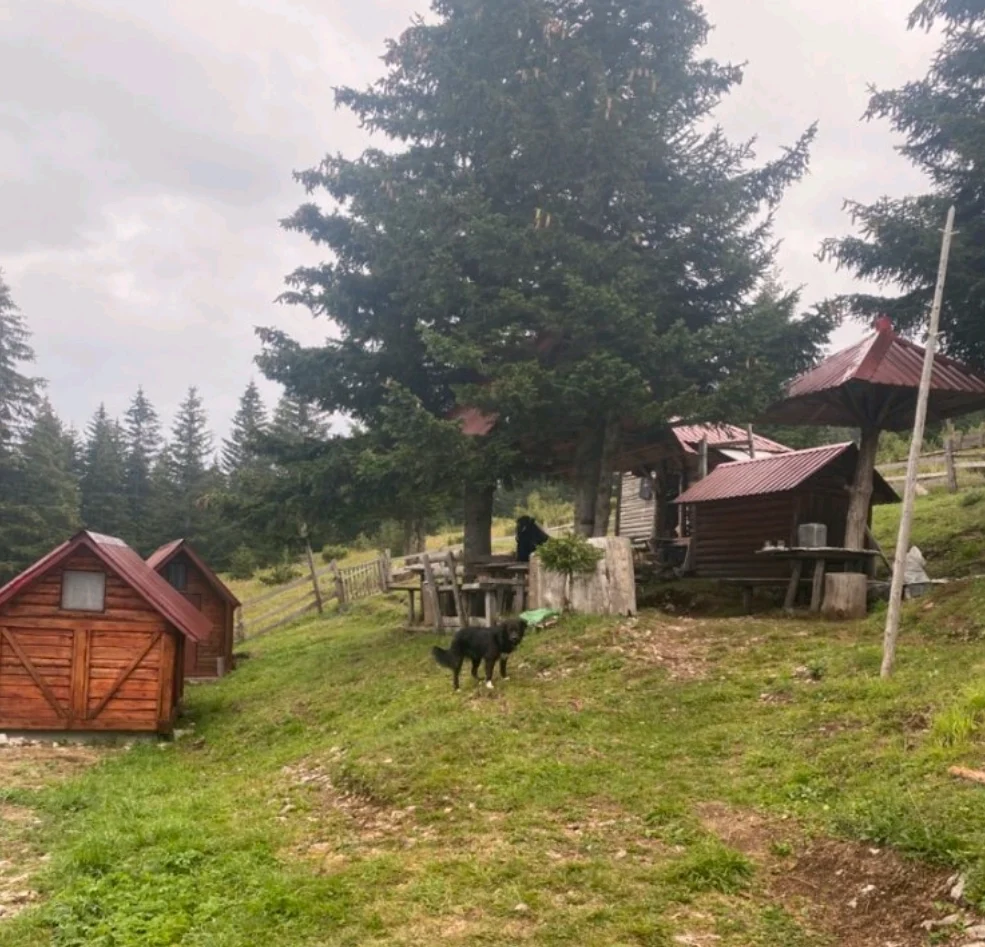 Drobnjaci razvijaju seoski turizam na Bjelasici: Projekat ljubavi prema prirodi