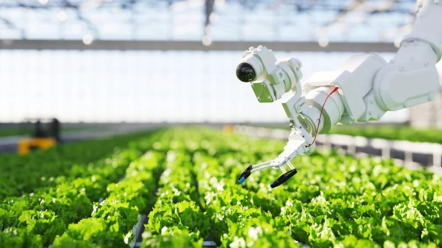 Mogu li roboti koji plijeve njive od korova da ukinu potrebu za pesticidima?