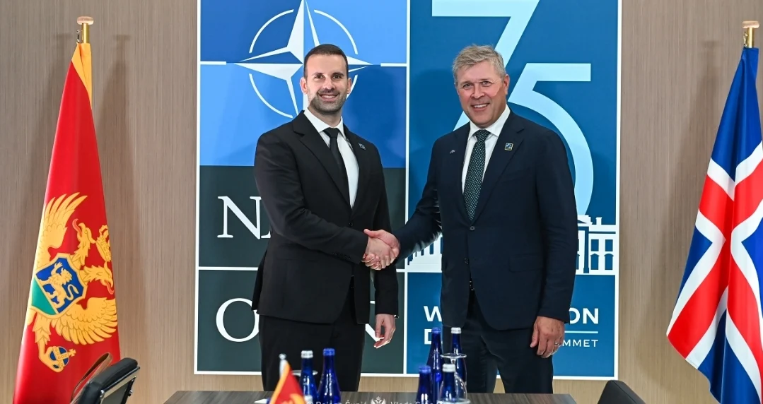 Spajić sa premijerom Islanda: Male zemlje ne moraju biti slabe