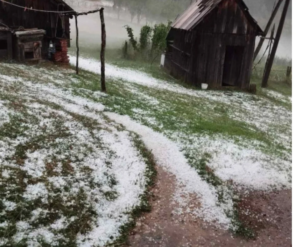Nevrijeme pričinilo velike štete mještanima bjelopoljskih sela: Grad opustošio njive i voćnjake