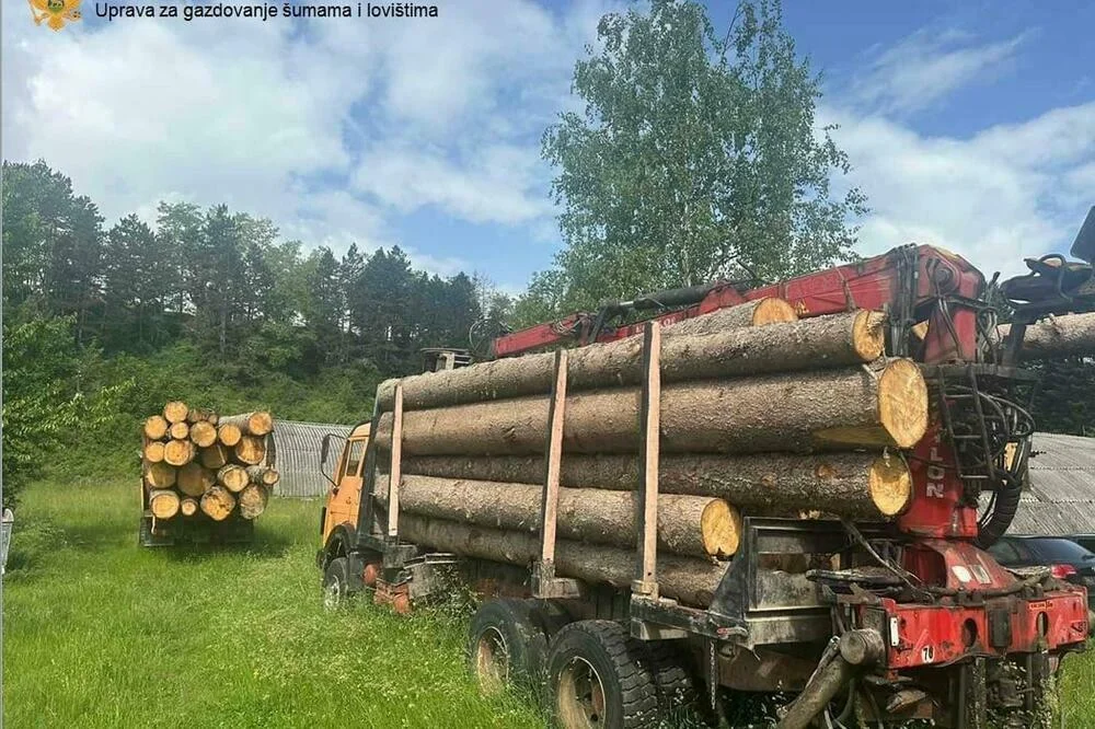 Osam prijava za bespravan promet drvnih sortimenata