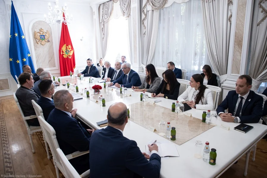 POSP u CG: Ulazak u EU moguć u toku aktuelnog saziva EP