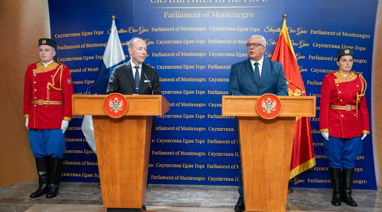 Mandić: Crna Gora želi uspravna da uđe u EU i bude ranopravan član