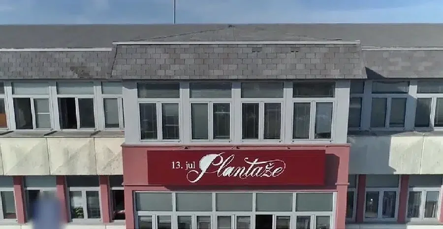 “Plantaže” prodaju zemljište da vrate dug i investiraju