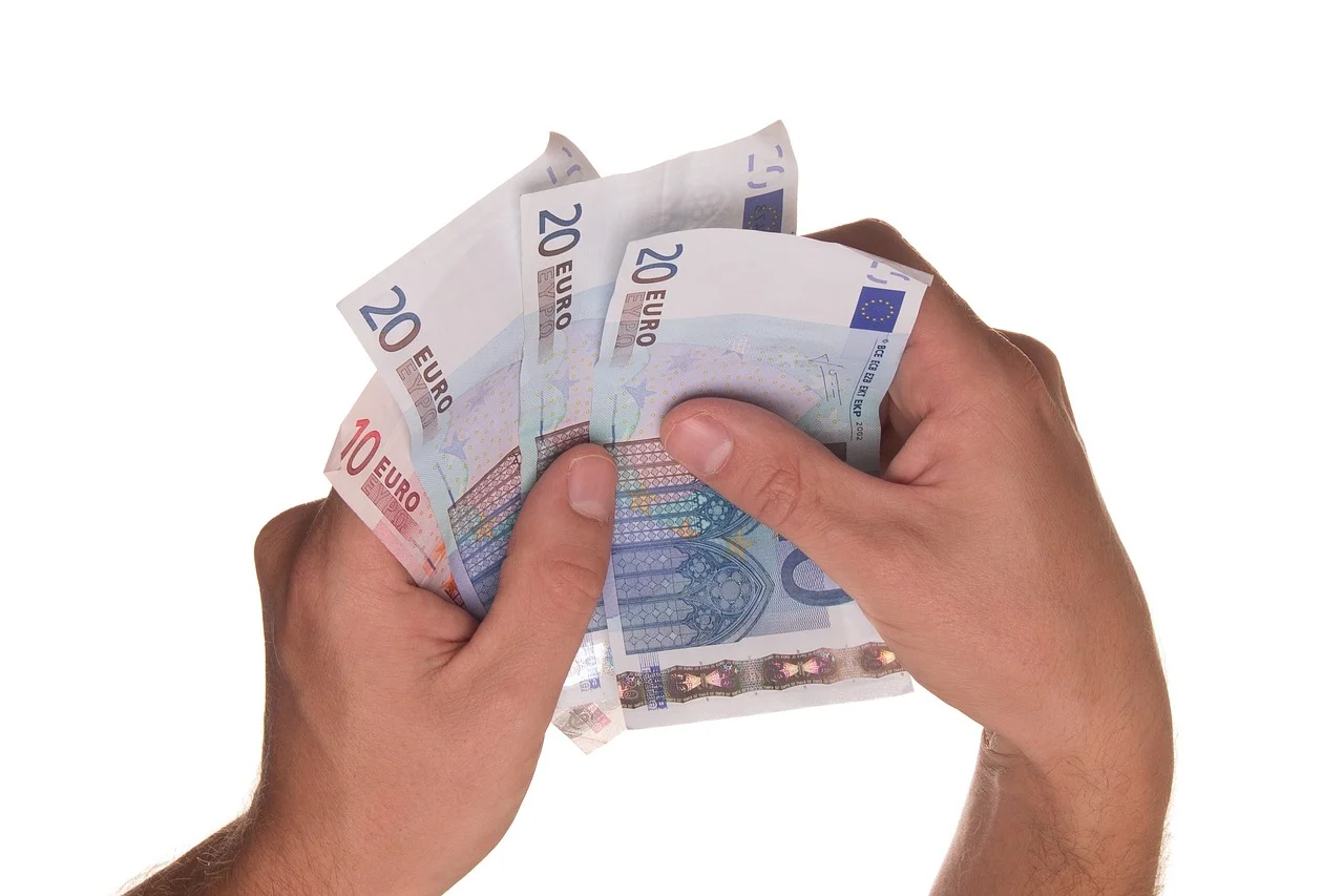 U Titvu i Zeti plate preko hiljadu eura, u 20 opština manje od državnog prosjeka