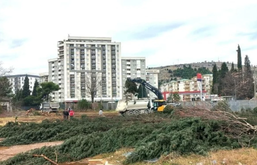 SJEČA ČEMPRESA: Za građevinsku industriju ne postoje zakoni