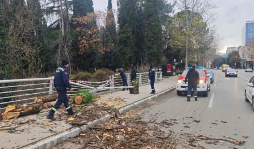 Drvo polomilo ogradu mosta braće Zlatičanin