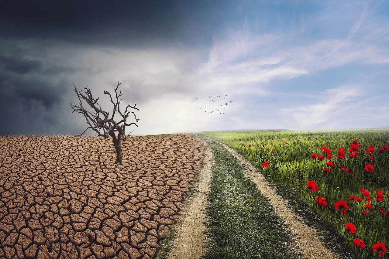 Klimatske promjene nam mijenjaju rječnik