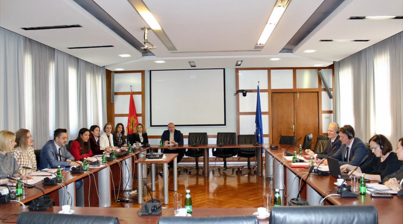 Ministar finansija sa predstavnicima EK: Vlada svjesna važnosti dijaloga o ekonomskom upravljanju sa EU, ove godine ostvarićemo dinamičan privredni rast