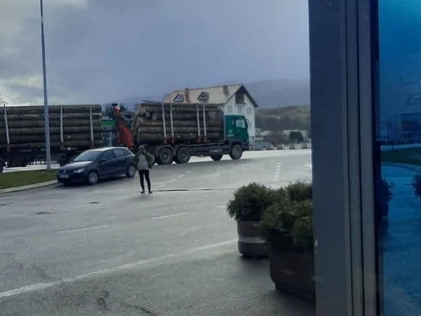 Nastavlja se nezakonita pohara šuma, haos napravljen zbog odgađanja primjene novog zakona