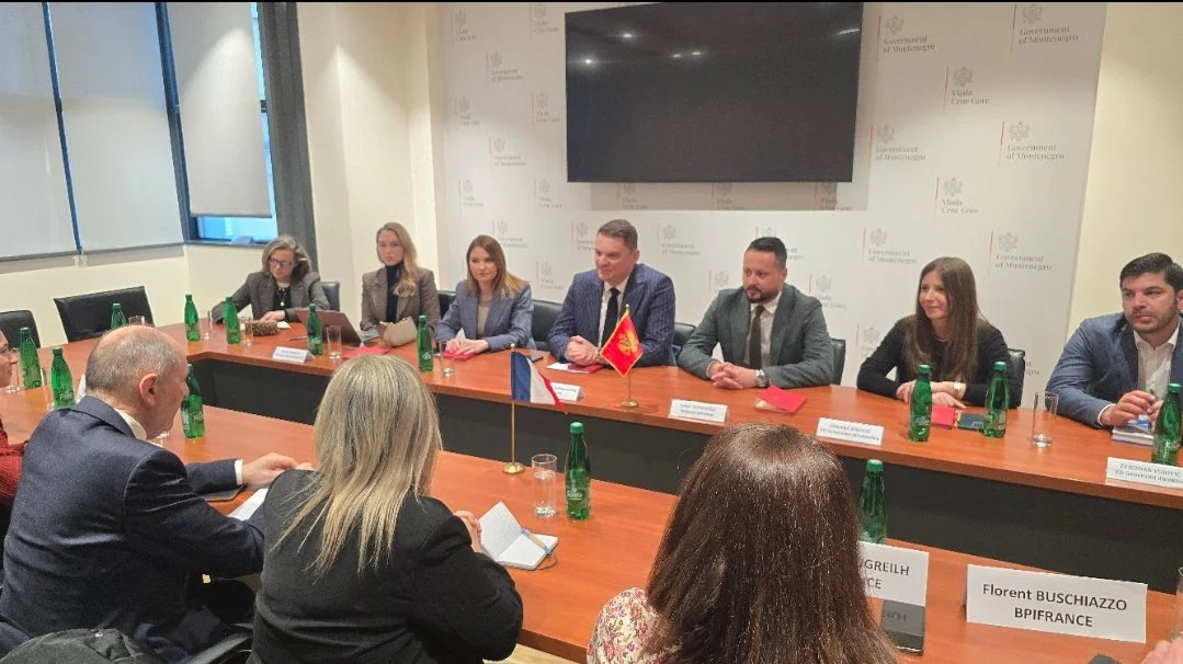 Ministar Šahmanović sa delegacijom francuskih privrednika: Prostor za jačanje saradnje u oblasti energetike i rudarstva