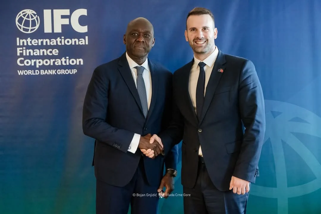 SPAJIĆ: IFC će učestvovati u pripremi međudržavnog sporazuma sa UAE u oblasti energetike
