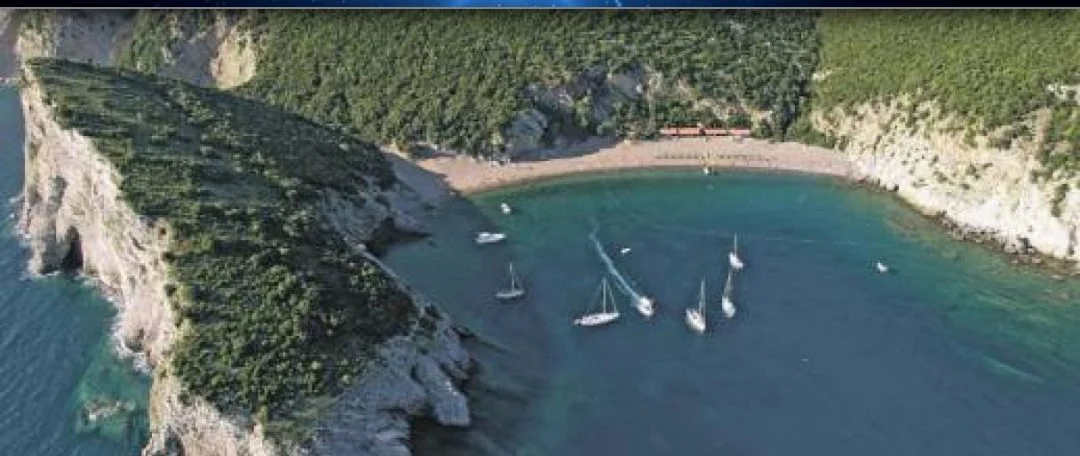 Kako je Crna Gora tjerala vrhunske arapske investitore: Slučaj “Kraljičina plaža” i Royal grupa (UAE)