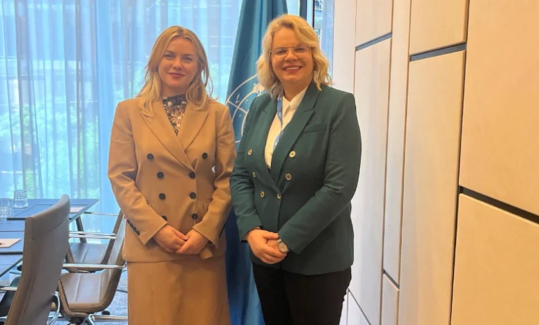 Crna Gora aktivna u UNECE inicijativama: Vukićević i Molcean o budućim projektima