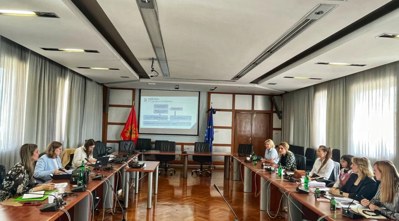 Nišavić: Crna Gora posvećena borbi protiv poreskih prevara i utaje poreza