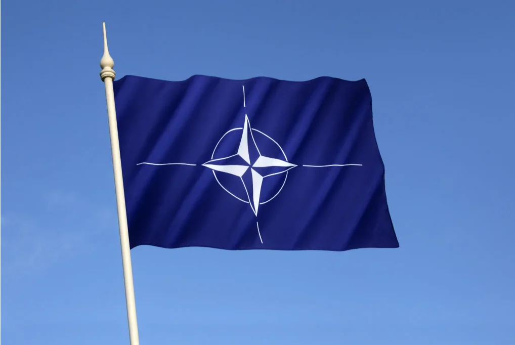 Vitaker: SAD očekuju od članica NATO da izdvoje najmanje pet odsto BDP za odbranu