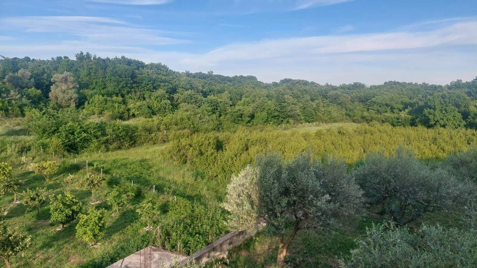 Ekskluzivna ponuda: Zemljište idealno za luksuzne sadržaje – spa, wellness, bjuti kliniku