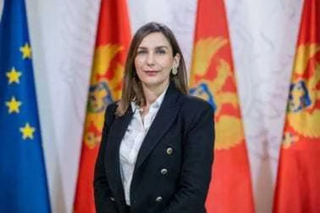 Despotović Đekić o procesu EU integracija: Imamo jasan plan usaglašen s Briselom