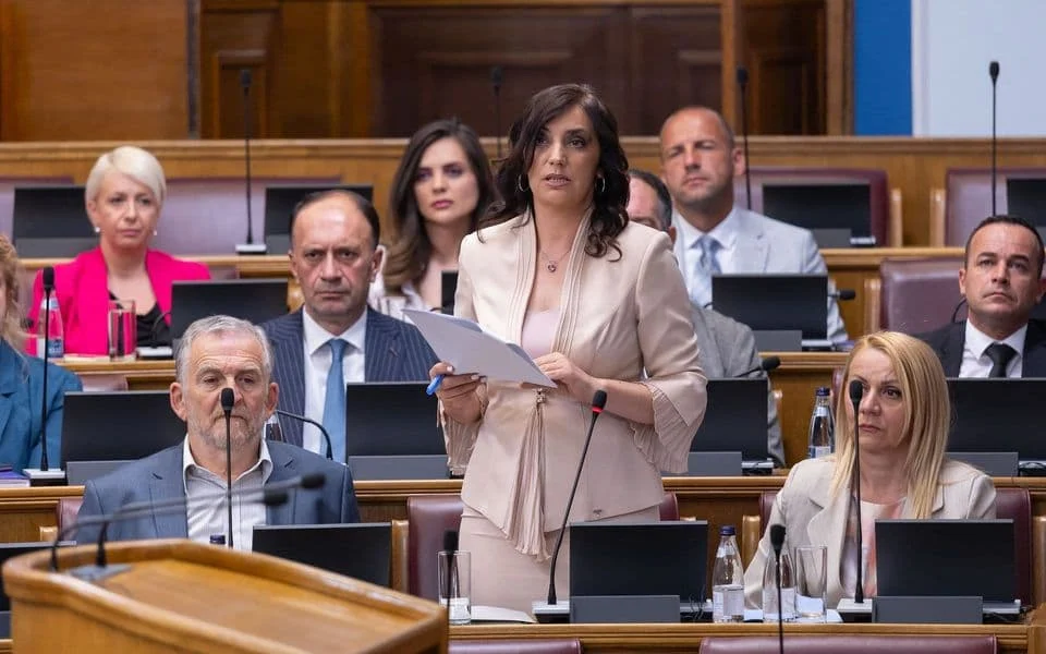 Jakšić-Stojanović: Prvi put se eksplicitno definiše zabrana svakog oblika nasilja u obrazovnim ustanovama