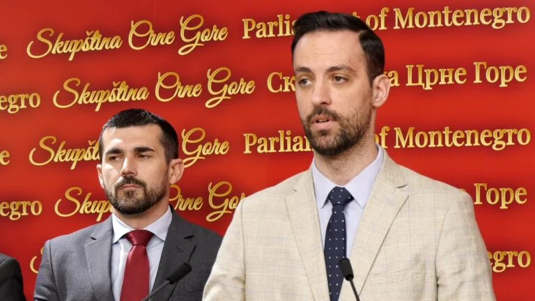 Zirojević povodom napada na novinare: Šćepanović da smijeni načelnike CB Berane i RC sjever