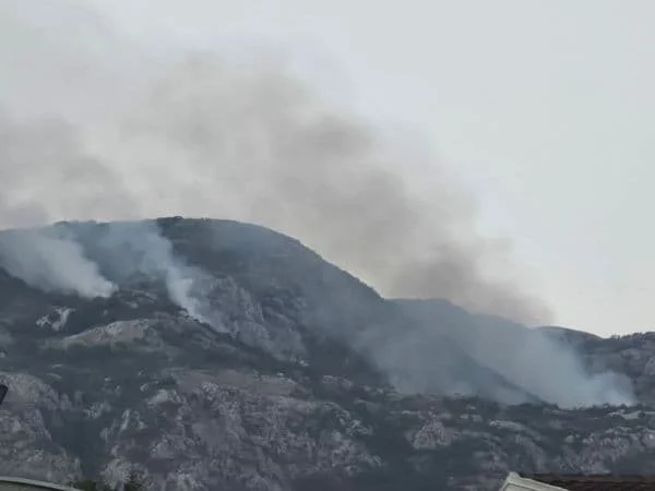 Požar velikih razmjera na Brajićićima, helikopter počeo gašenje