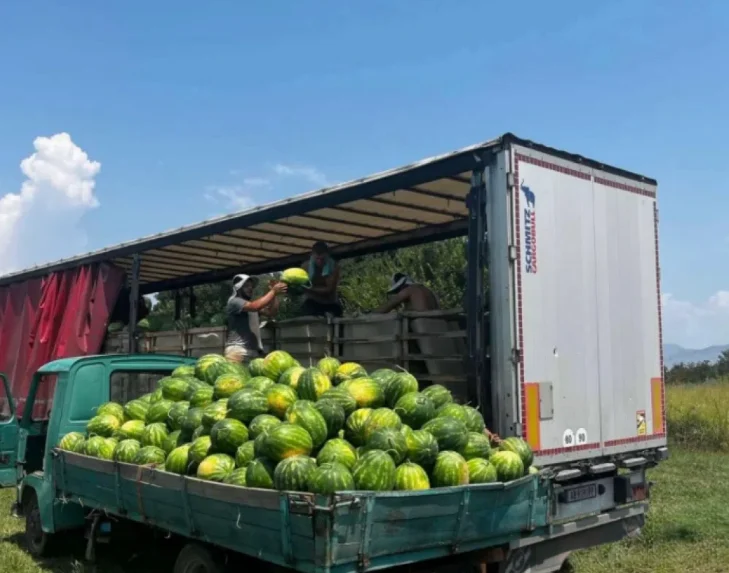 Opština Zeta podržava otkup poljoprivrednih proizvoda: Sedam centi po kilogramu za lubenicu i krompir