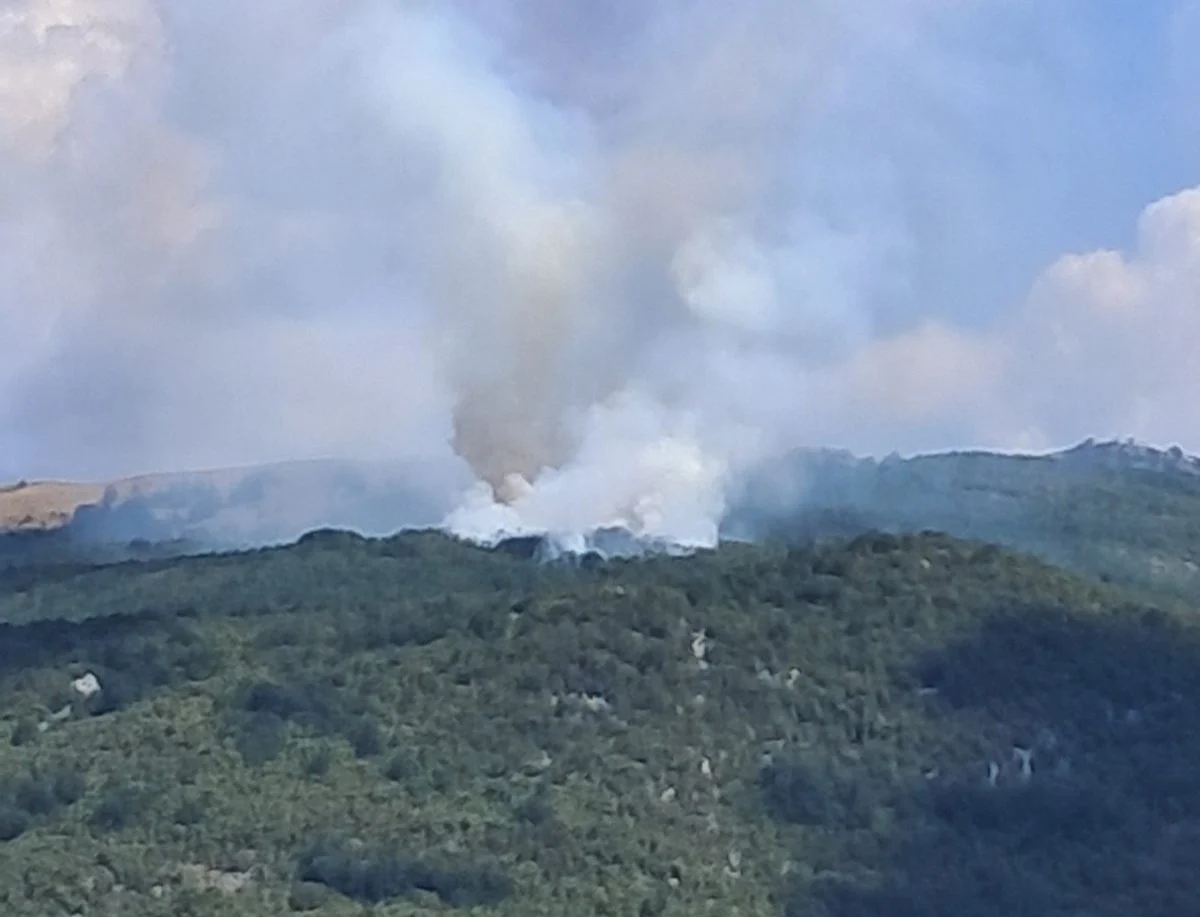 Šumski požar iznad Lukova, Tadić: Opožaren sam vrh brda, što je krajnje sumnjivo