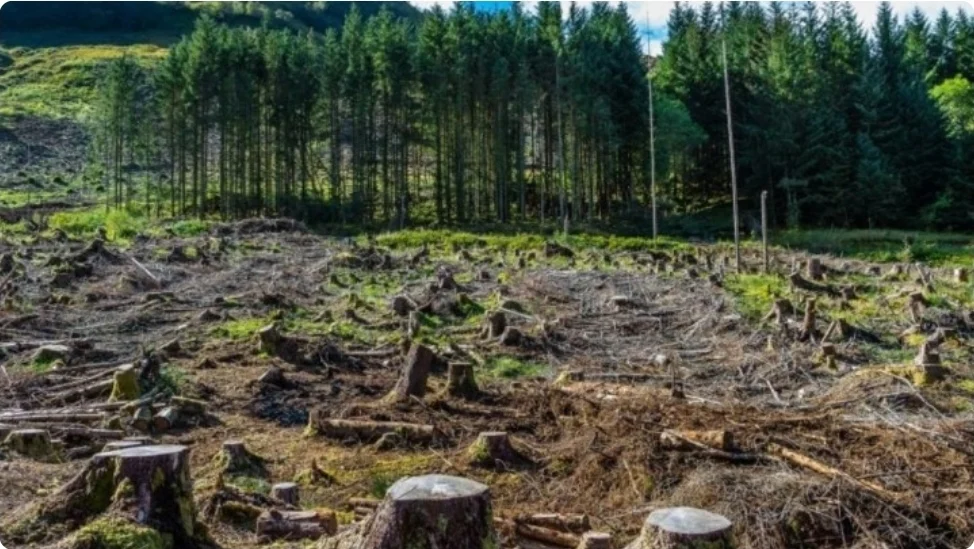 Vještačenja potvrđuju milionsku štetu