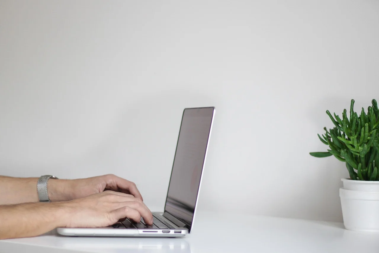 Ko zarađuje od nacionalnog domena - država ili privatnici?
