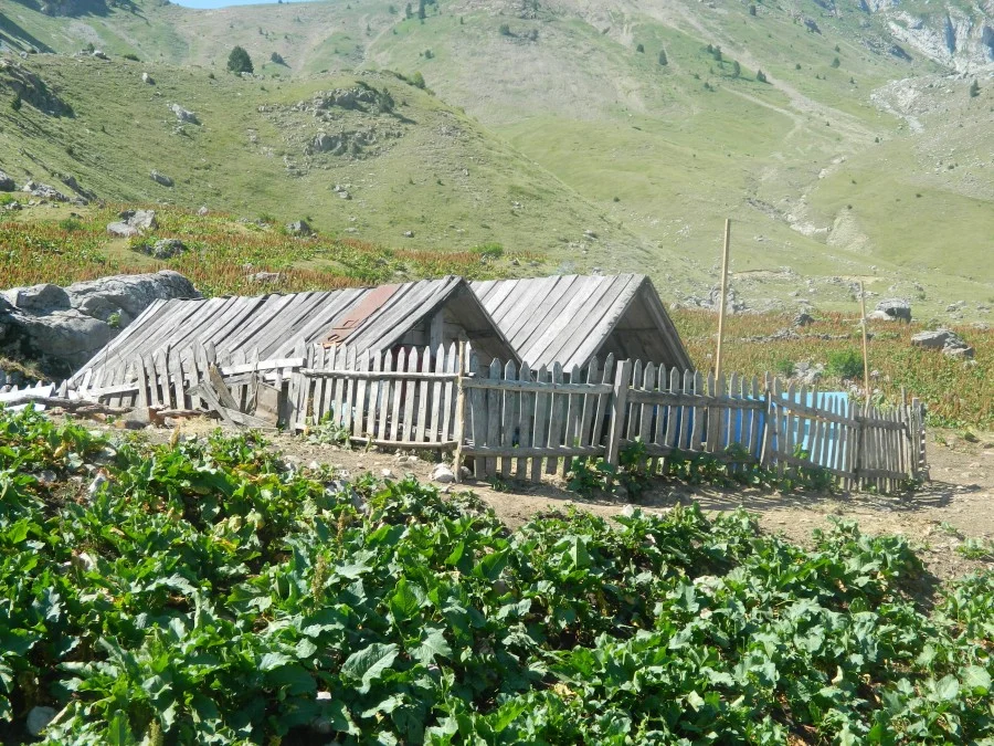 U planinskim naseljima sve manje stočara