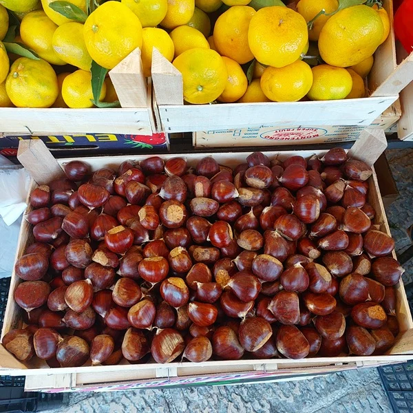 Kilogram koštanja 10 eura