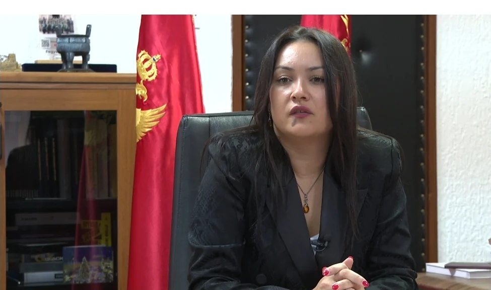 Rekordan rezultat carine: Više kontrole, više prihoda, više zaplijena